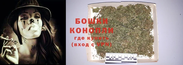 прущие крисы Заводоуковск