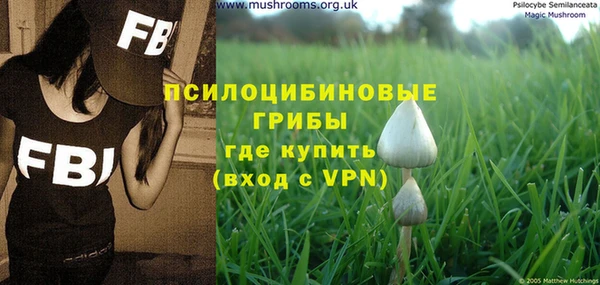 прущие крисы Заводоуковск