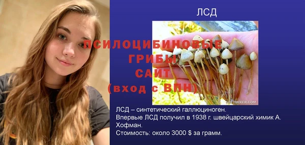 прущие крисы Заводоуковск